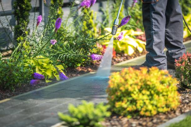 Best Gutter Cleaning  in Santa Moni, CA